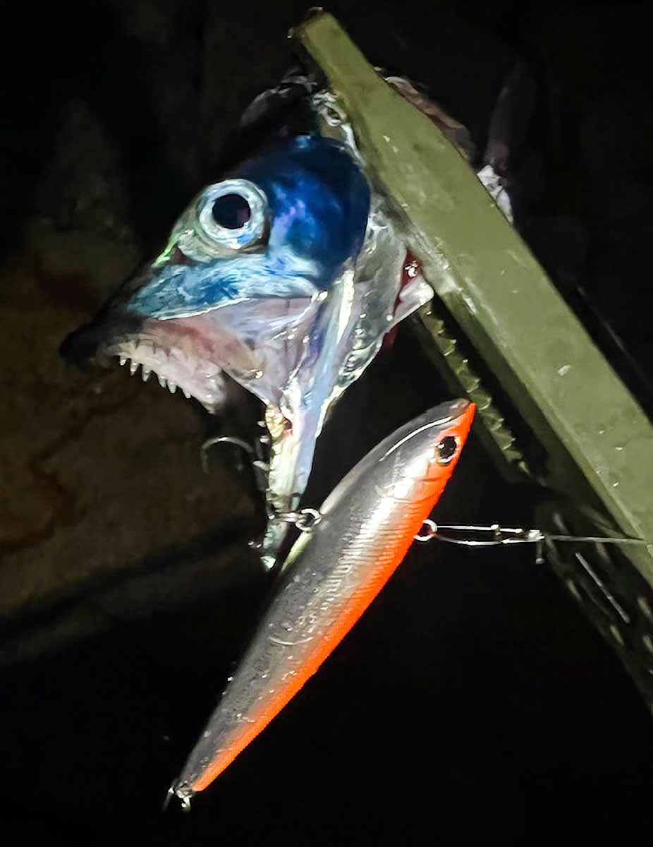 2lure0135-rollingbait_LS_GP