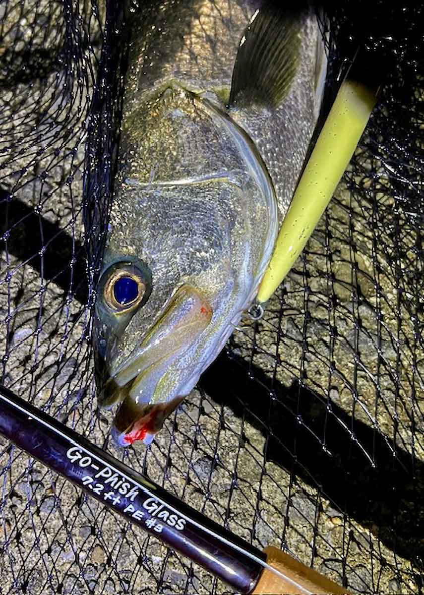 1rod0152-Go-Phish glass 7.2ft bait (SeabassSpecial)