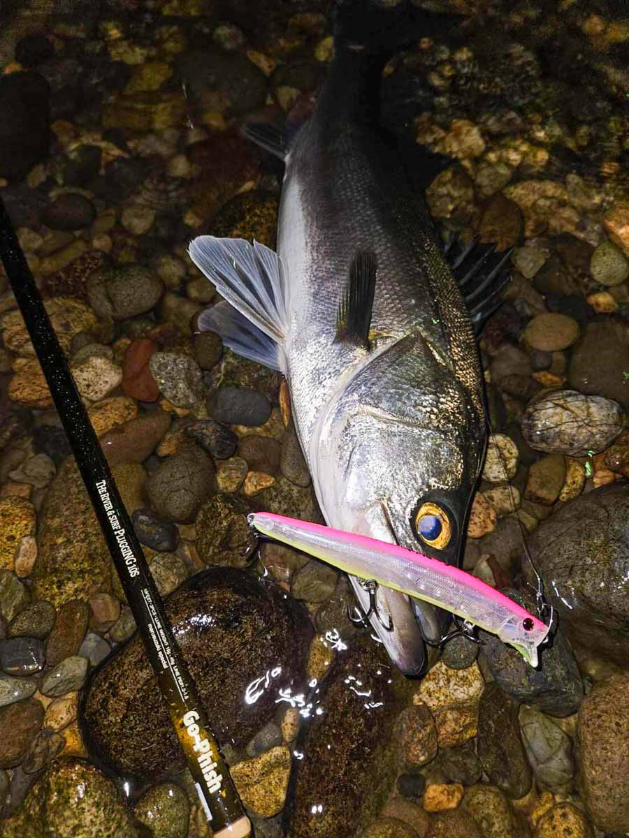 ヒラフィード128GP