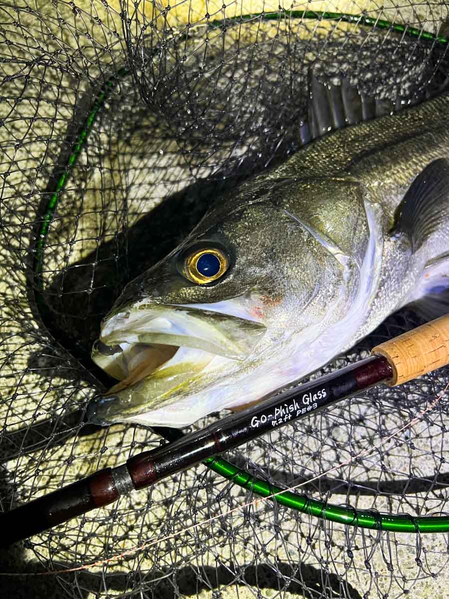 Go-Phish Glass 7.2ft bait (SeabassSpecial) | Go-Phish