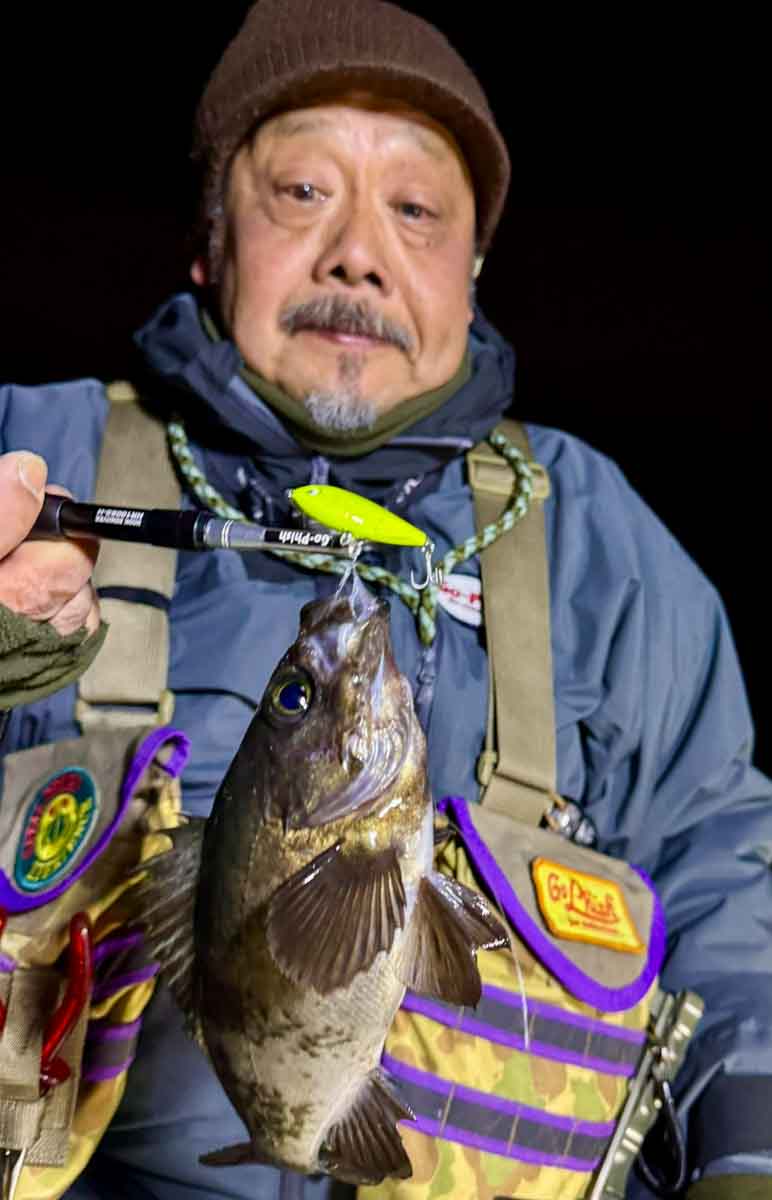 プルシャッド41GP ウエイトプラス極上