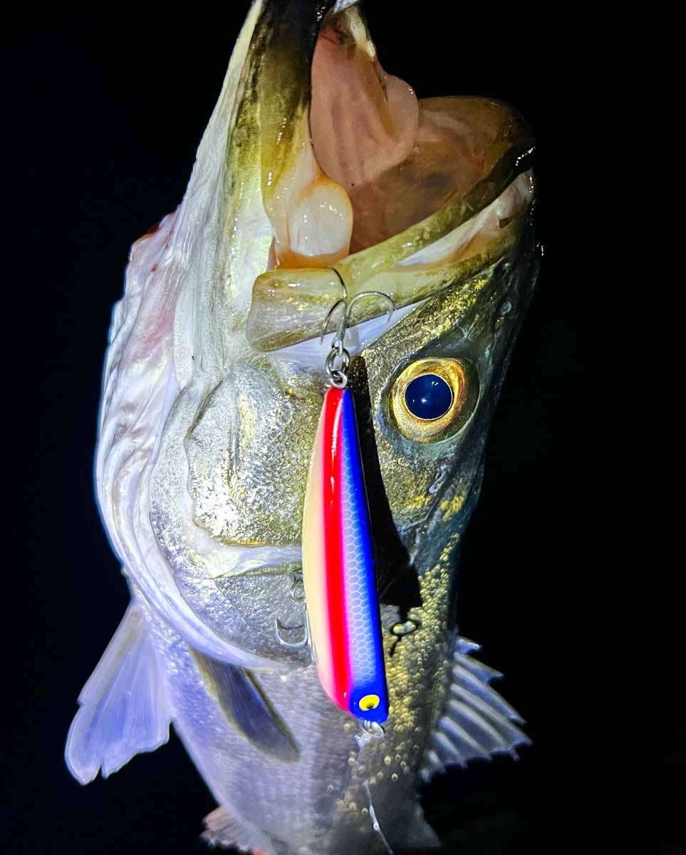 2lure004-Go-Phish 24G