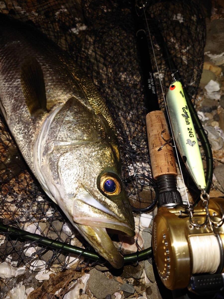 ロッド：Go-PhishGlass ７ft Bait/Spin 発売です！！ | Go-Phish