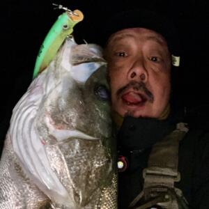 TheTakeBacker10S‼ | Go-Phish