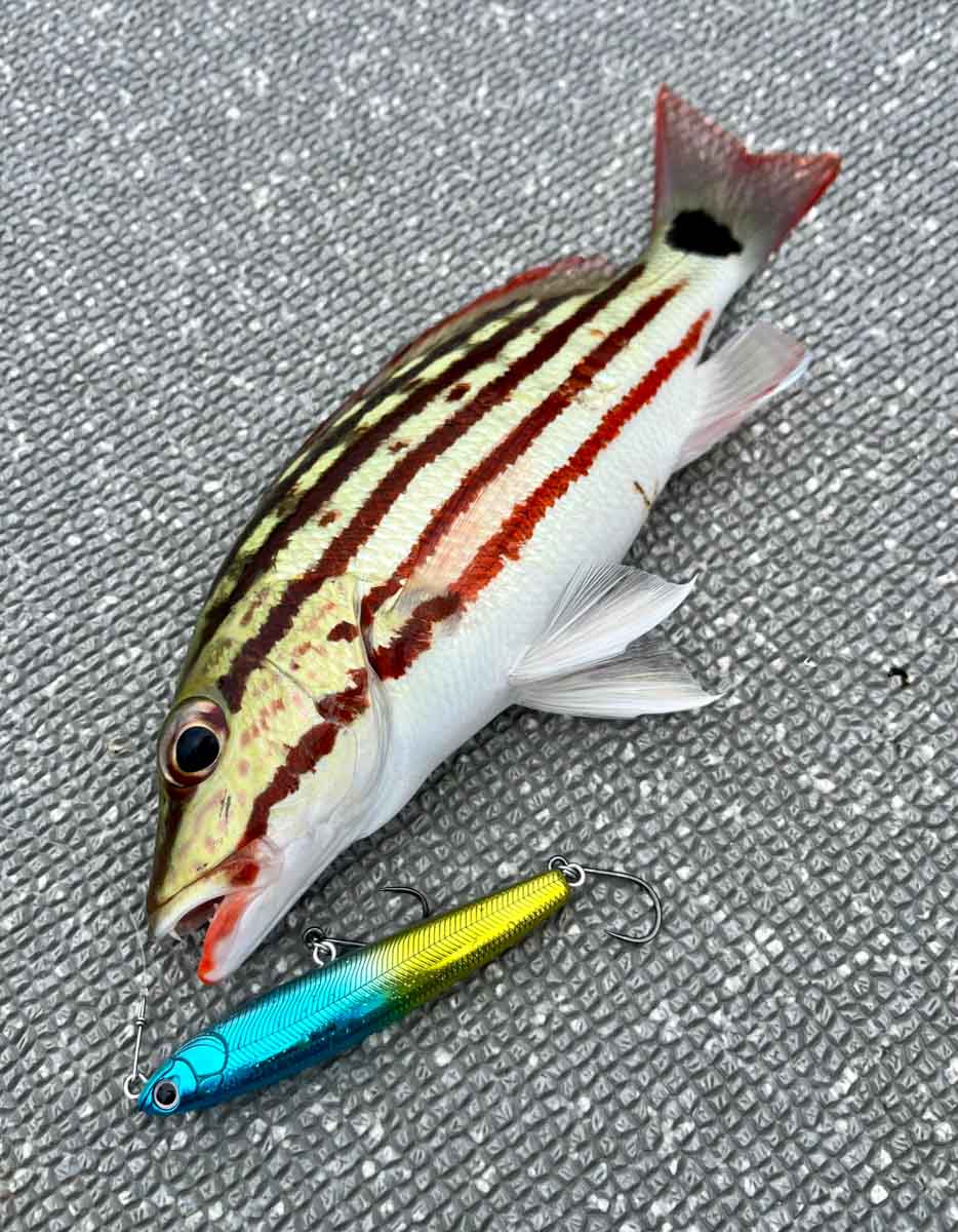 2lure015-CRFP80GP