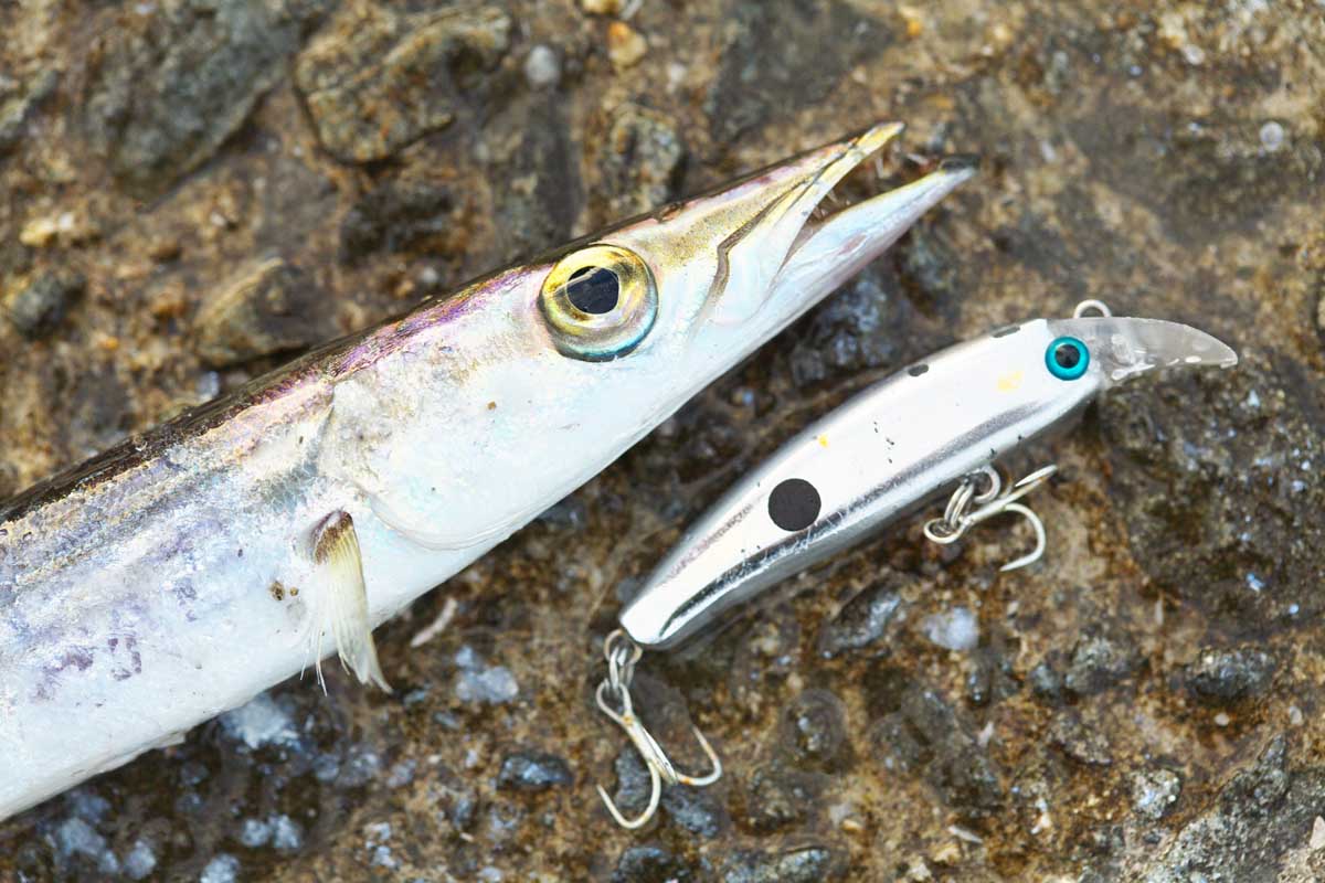 2lure024-kamaser42
