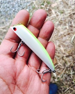 TKLM NEW !! | Go-Phish